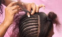 Corn row image 1