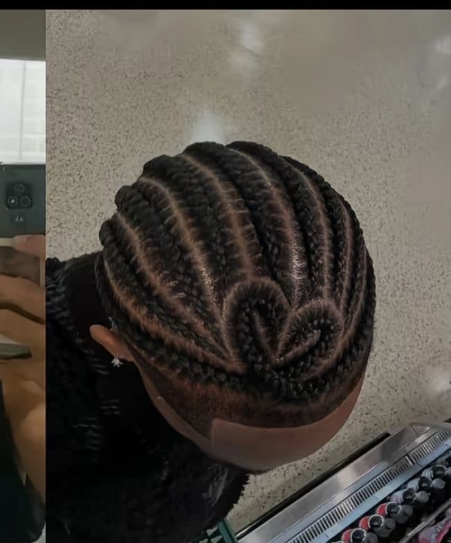 Corn row image 1